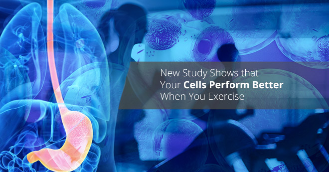 New Study Shows that Your Cells Perform Better When You Exercise